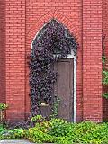 Overgrown Door_28815-6